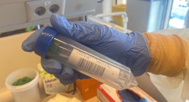 Imagen de archivo de una prueba de PCR / TA